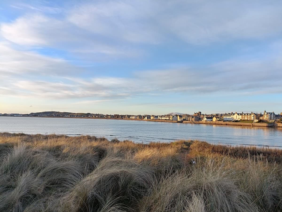 Elie Seaside Sauna – Leven